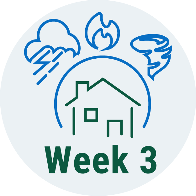 Week 3